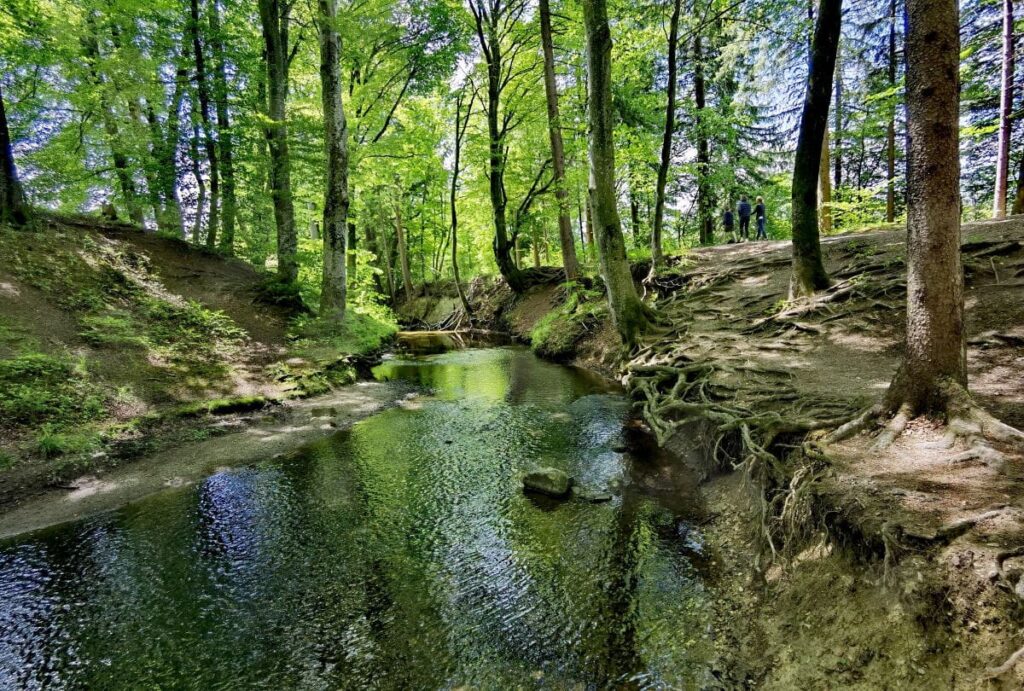 Naturwunder Bayern - die Maisinger Schlucht