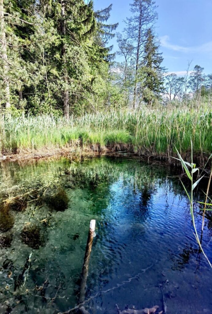 Geotope Bayern - die Osterseen mit der Blauen Gumpe