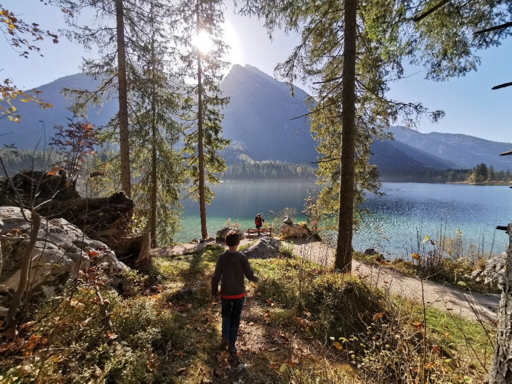 Geotope Bayern - der Zauberwald Ramsau