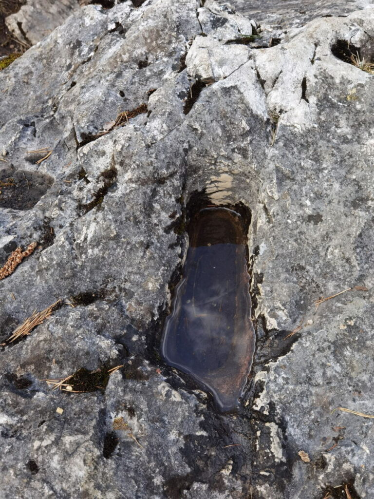 Der Magnustritt ist der Sage nach der Schuhabdruck vom Hl. Magnus, er füllt sich mit Regenwasser